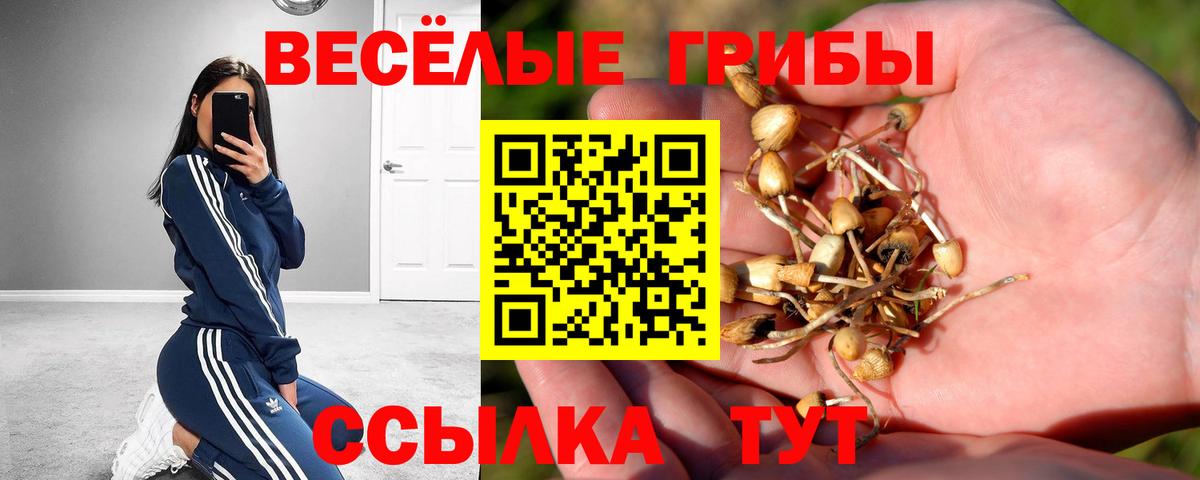 купить закладку  Галлюциногенные грибы мухоморы  Вход с VPN  Городец 